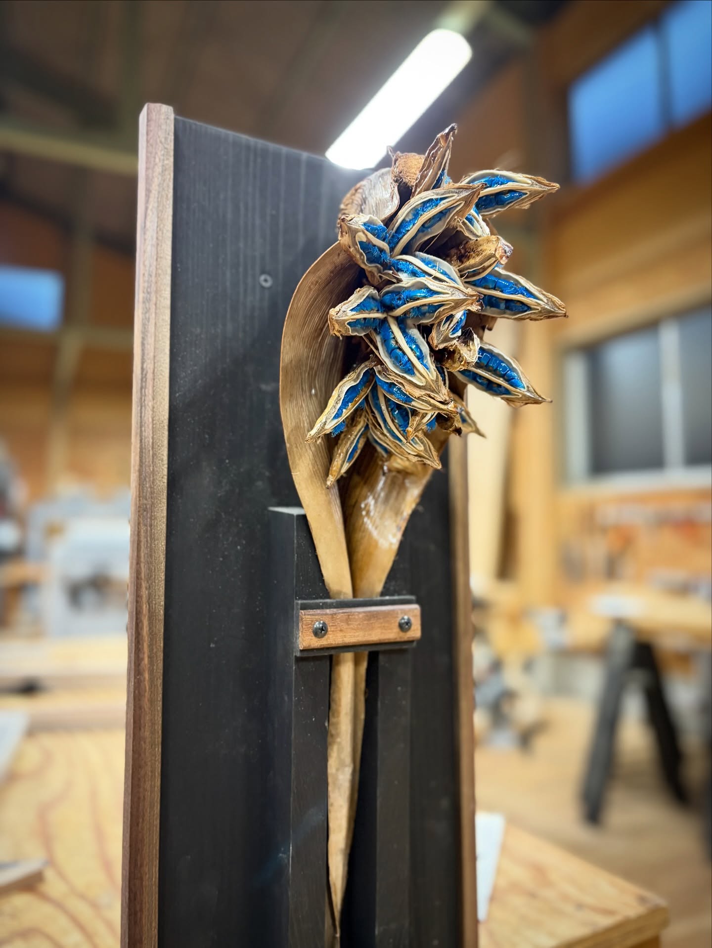 細かく仕様が決められた
クライアントワークが多い日々の中で

ジャズセッションのような
素材と対話しながら
即興の製作は楽しい。

この鮮やかな青い種子皮は
旅人の木の原産地であるマダガスカルに理由があります。

種子散布のために
同じく固有種のキツネザルに認識しやすい青色に最適として進化したそうです。
キツネザルは果実や種子を食べ、その種子を別の場所に排泄して広げて、旅人の木の繁殖に大きな役割を果たします。

ナノテクノロジーと比喩するなら
どれほど高次元プログラミングが太古にリリースされたのでしょうか。

今はただ
この鮮やかな青の美しさに、ただ感嘆するばかりです。

　

　
　

　
　

#japantraditional #japandistyle #woodworker  #ikigai  #woodworktools #furnituremaker  #furnituredesign #木工作家　#木の家　 #木の家具　#목공　#가구만들기　#オーダー家具　#特注家具　#家具職人　#木工　#家具工房　#手仕事　#家具作り　#暮らしの道具　#オーダー住宅  #木工時不知　#旅人の木　#愛知県 #岡崎市 #蒲郡市 #幸田町 #西尾市　#三河　#倉澤真