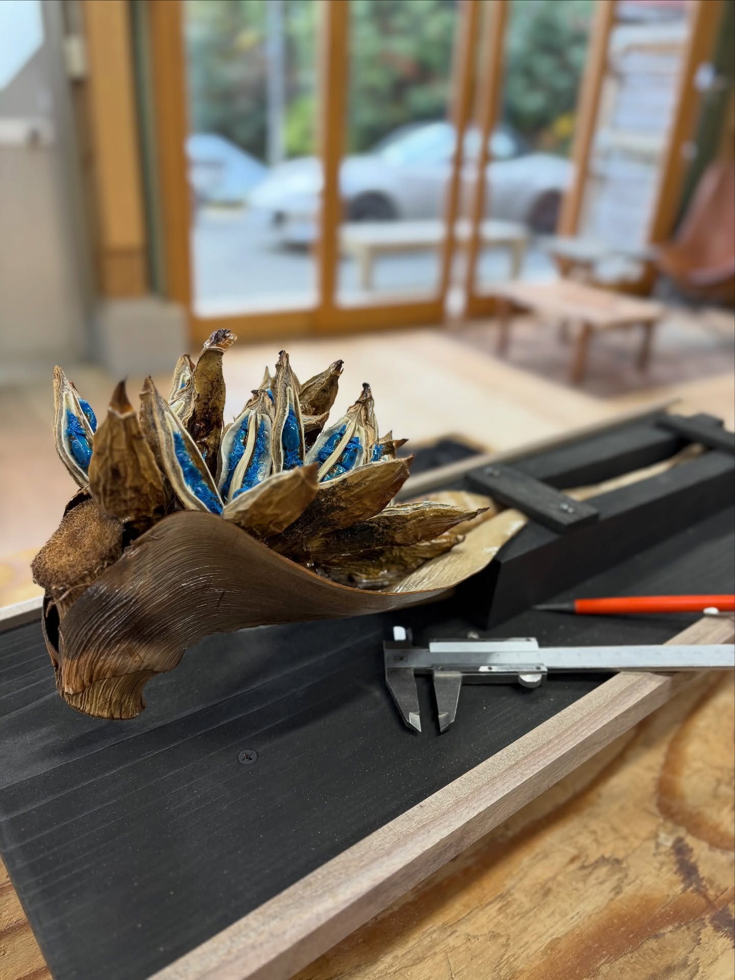 沖縄にて
いただいた旅人の木

飾り付けのアイデアが湧いたので、
早速
手を動かして製作です。

　

　
　

　
　

#japantraditional #japandistyle #woodworker  #ikigai  #woodworktools #furnituremaker  #furnituredesign #木工作家　#木の家　 #木の家具　#목공　#가구만들기　#オーダー家具　#特注家具　#家具職人　#木工　#家具工房　#手仕事　#家具作り　#暮らしの道具　#オーダー住宅  #木工時不知　#旅人の木　#愛知県 #岡崎市 #蒲郡市 #幸田町 #西尾市　#三河　#倉澤真