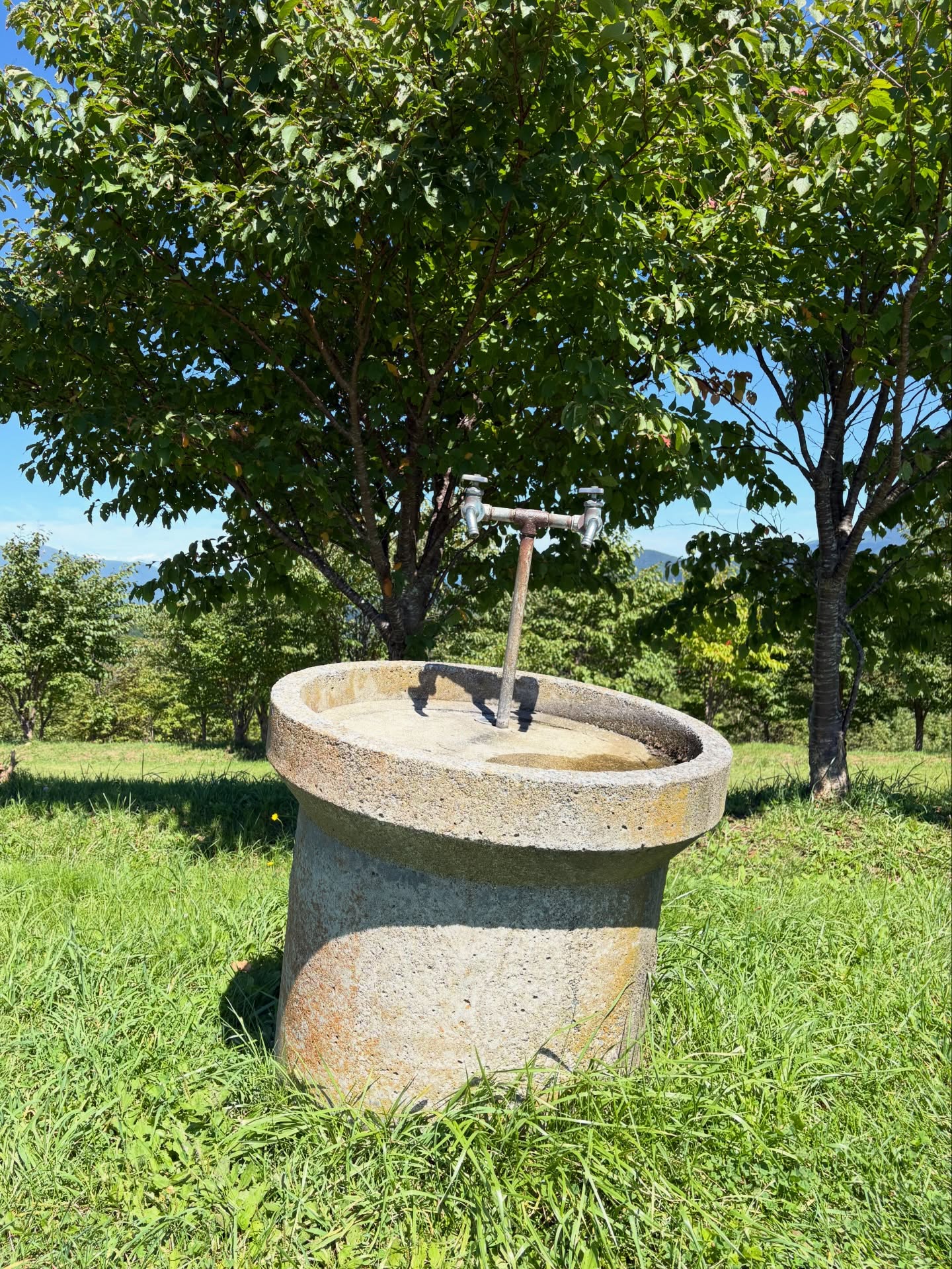 北海道滞在

キャンプ場の片隅にある
傾いた水道の蛇口を眺めながら
「ニセコの最新ホテルの優雅なひとときは幻だったのか」
と、首を傾げたくなりました。

「この水は自己責任で飲んで下さい」とのこと。
大体大丈夫なので、
飲んでみます。

#北海道旅
#北海道ツーリング 
#北海道キャンプ