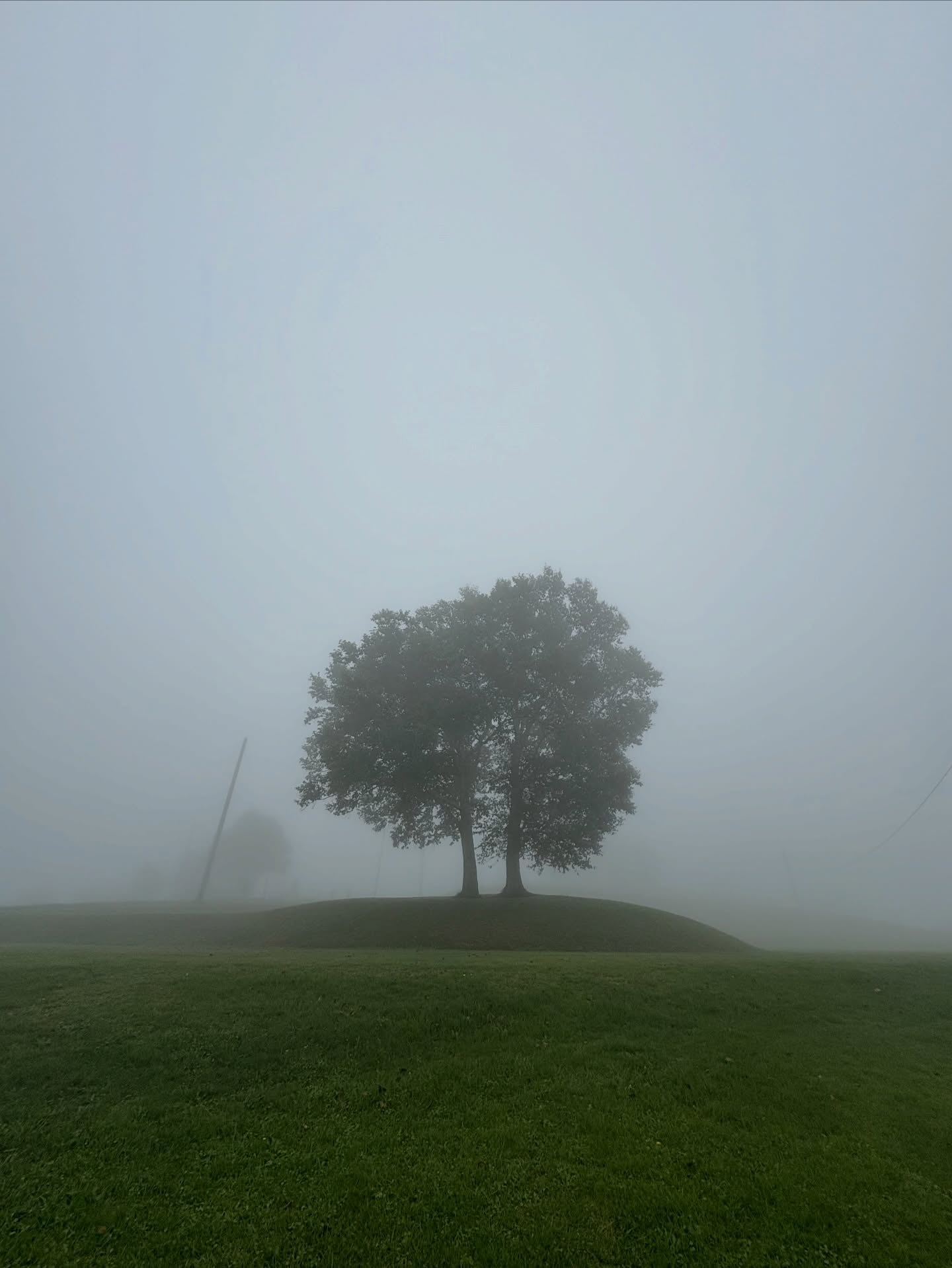 霧の美しい朝

余計ものが視界に入らない
心地良さがあります。

#霧の朝
#北海道キャンプ 
#北海道ツーリング