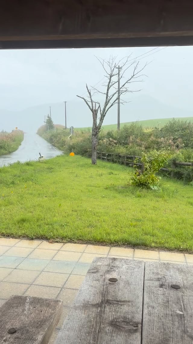 久しぶりの晴れ間を見つけて
喜んで雨具を脱いですぐの通り雨で全身びっしょり。

自然の中で培った
私の第六感は何処に行ってしまったのだろう？