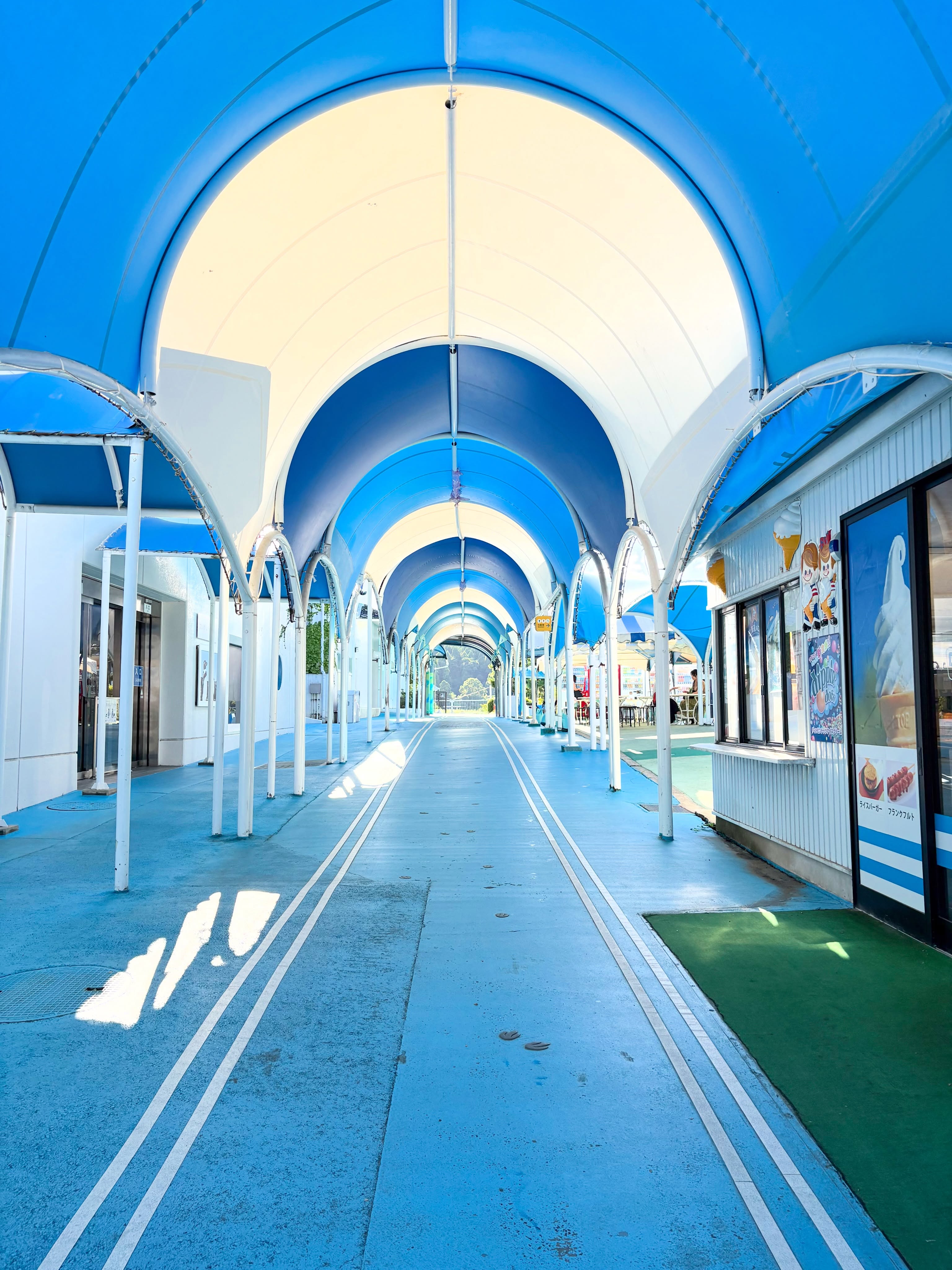 能登滞在

のとじま臨海公園水族館

能登半島地震から復興して
2025年3月に全面再開されています。